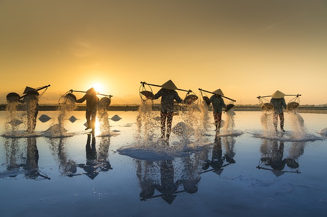 Vietnam blog